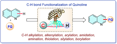 Graphical abstract: Synthesis of quinoline mimics via C–H bond functionalization of quinoline: a review on recent progress