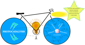 Graphical abstract: Visible-light irradiation of chalcones: expanding the scope of photocatalysis
