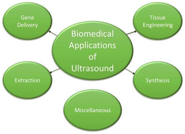 Graphical abstract: Potential of ultrasonic processing in biomedical applications