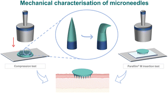 Graphical abstract: In vitro evaluation of microneedle strength: a comparison of test configurations and experimental insights
