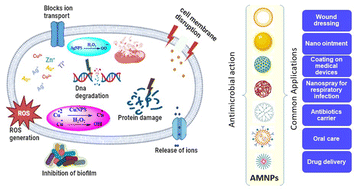 Graphical abstract: Antimicrobial nanoparticles: current landscape and future challenges