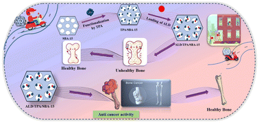 Graphical abstract: Functionalized SBA-15: engineering, detailed study on release and kinetics of alendronate as well as its anti-tumour properties towards osteosarcoma