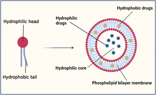 Graphical abstract: Advances in liposomal nanotechnology: from concept to clinics