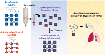 Graphical abstract: Formation of drug–drug salt crystals and co-amorphous forms of levofloxacin and 4-aminosalicylic acid for pulmonary applications