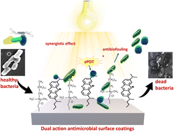 Graphical abstract: Dual-action antimicrobial surface coatings: methylene blue and quaternary ammonium cation conjugated silica nanoparticles