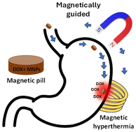 Graphical abstract: Drug-loaded 3D-printed magnetically guided pills for biomedical applications