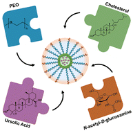 Graphical abstract: Sugar-decorated cholesterol-core nanoparticles as potential targeting nanomedicines for the delivery of lipophilic drugs