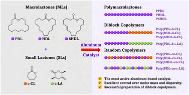 Graphical abstract: Controlled ring-opening (co)polymerization of macrolactones: a pursuit for efficient aluminum-based catalysts