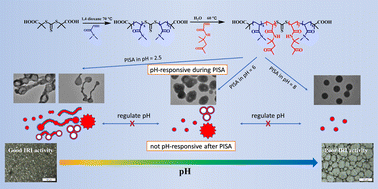 Graphical abstract: Polymerization-pH tailored RAFT-mediated polymerization-induced self-assembly for ice recrystallization inhibiting the investigation