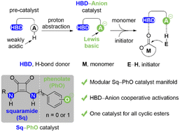 Graphical abstract: Development of a H-bond donor–Lewis basic anion bifunctional organocatalyst for ring-opening polymerizations