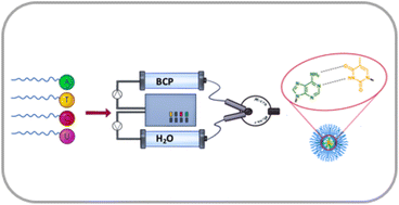 Graphical abstract: Synthesis of nucleobase functionalised block copolymers towards precision self-assembly