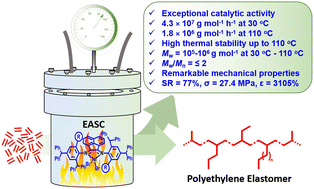 Graphical abstract: High-performance polyethylene elastomers using a hybrid steric approach in α-diimine nickel precatalysts