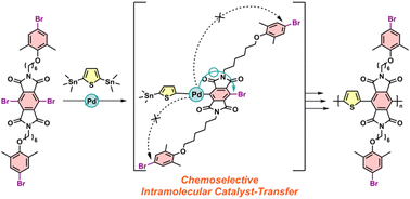 Graphical abstract: Direct synthesis of π-conjugated polymers with bromoaryl groups in side chains via a chemoselective intramolecular catalyst transfer system