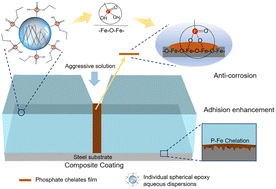 Graphical abstract: Improving the performance of acrylic-epoxy ester hybrid coatings with phosphate monomers