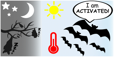 Graphical abstract: Latent catalysts in vitrimers