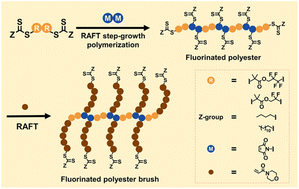 Graphical abstract: Preparation of fluorinated polyesters by reversible addition–fragmentation chain transfer step-growth polymerization