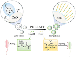 Graphical abstract: In situ PET-RAFT polymerization to prepare guanidine-and-carbohydrate modified ZnO nanoparticles