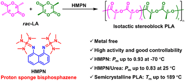 Graphical abstract: Stereoselective ring-opening polymerization of rac-lactide catalyzed by the proton sponge bisphosphazene 1,8-bis(hexamethyltriaminophosphazenyl)naphthalene
