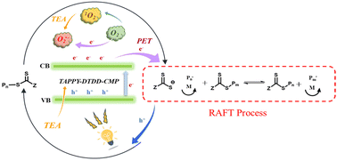 Graphical abstract: Visible light-triggered non-deoxygenated PET–RAFT polymerization by heterogeneous conjugated microporous polymer photocatalysts
