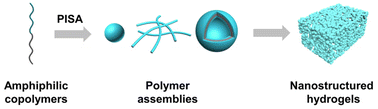 Graphical abstract: Polymerization-induced self-assembly for the construction of nanostructured hydrogels
