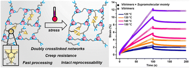 Graphical abstract: Creep resistance in doubly crosslinked dynamic covalent networks