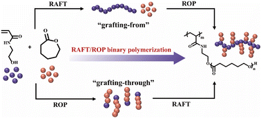Graphical abstract: RAFT/ROP binary polymerization towards well-defined graft copolymers
