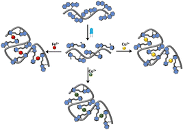 Graphical abstract: Light-driven folding of single polymer chains via metal-complexation