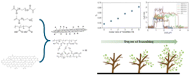 Graphical abstract: Exploiting a branched radical polymerization strategy to enhance the degree of grafting onto graphene oxide