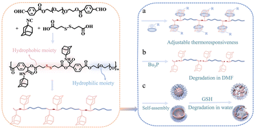 Graphical abstract: Degradable polymers with adjustable thermoresponsiveness based on multicomponent polymerization and molecular recognition