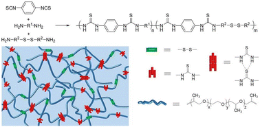 Graphical abstract: Self-healing and mechanically robust poly(thiourea-disulfide) elastomers based on three types of synergistic dynamic bonding