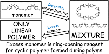 Graphical abstract: Selective synthesis of cyclic-polymer-free poly(ether sulfone)s with OH ends or F ends by non-stoichiometric, reversible polycondensation