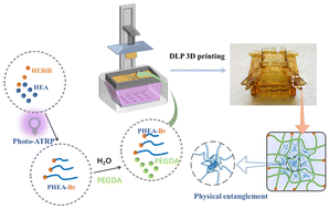 Graphical abstract: 3D printed hydrogel network regulation based on macroinitiator-induced rapid photoATRP