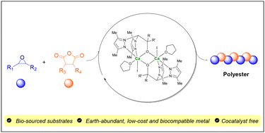 Graphical abstract: Calcium-catalysed ring-opening copolymerisation of epoxides and cyclic anhydrides