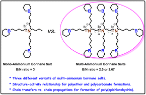 Graphical abstract: Exploring borinane-based multi-ammonium salts for epoxide (co)polymerization: insights into the structure–activity relationship