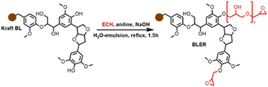 Graphical abstract: Flexing with lignin: lignin-based elastomers synthesised from untreated kraft black liquor