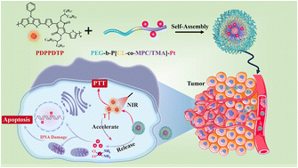 Graphical abstract: Synergistic chemotherapy/photothermal therapy for cancer treatment using a co-delivery system of cisplatin and novel conjugated polymers
