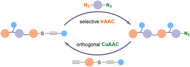 Graphical abstract: Exploiting chemoselectivity for discrete oligomer synthesis through sequential IrAAC and CuAAC reactions