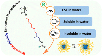 Graphical abstract: Preparation and characterization of temperature/pH/CO2-triple-responsive homopolymers and their substituent determined response