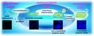 Graphical abstract: Dual aggregation-induced emission enhancement (AIEE) and crosslink-enhanced emission (CEE) driven via halogen-bond-assisted cocrystallization and radical solid-phase polymerization