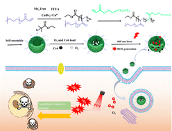 Graphical abstract: Hypotoxic amphiphilic polymers with high fluoride content as oxygen carriers enhance photodynamic therapy against hypoxic tumors