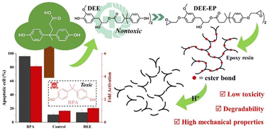Graphical abstract: A fully degradable epoxy resin based on a nontoxic triphenol derived from diphenolic acid and eugenol