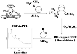 Graphical abstract: Synthesis and self-assembly of a diblock copolymer consisting of a cyclic olefin copolymer and polycaprolactone