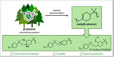 Graphical abstract: Lewis acid ionic liquid catalysed synthesis of bioderived surfactants from β-pinene