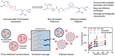 Graphical abstract: Acid-cleavable poly(oxazoline) surfactants