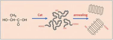 Graphical abstract: Polycondensation of l-lactic acid: a deeper look into solid state polycondensation