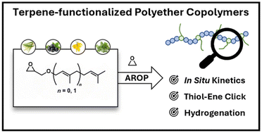 Graphical abstract: Glycidyl ethers from acyclic terpenes: a versatile toolbox for multifunctional poly(ethylene glycol)s with modification opportunities