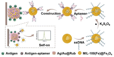 Graphical abstract: Multiple signal amplification strategy using porous materials and novel controlled release self-on mode for ultrasensitive immunoassay