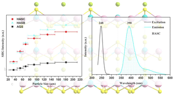 Graphical abstract: Hg3AsS4X (X = Cl and Br): two Hg-based chalcogenides as long-wave infrared nonlinear optical crystals with superior comprehensive performances