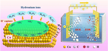 Graphical abstract: Regulation of polyaniline thickness and substitution position on Cu foams to optimize hydrogen evolution and ethanol oxidation performance