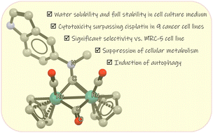 Graphical abstract: Synthesis and studies of aqueous-stable diruthenium aminocarbyne complexes uncovered an N-indolyl derivative as a prospective anticancer agent